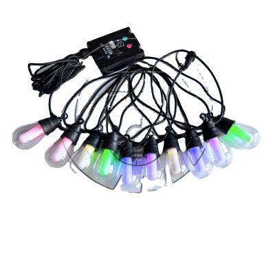 China Outdoor String Light Tree Lamp E26 Led Twinkle Light For Customized Length for sale