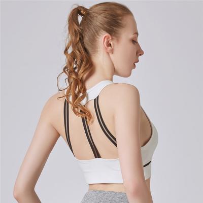 China 2019 new shockproof sports antibacterial bra no steel ring gathered yoga vest fitness beauty back sports underwear for sale