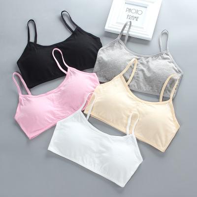 China Antibacterial children's breast care girl bra 8-18 years old cotton hipster teenage years children's underwear summer teen invest young for sale