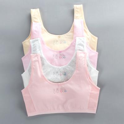 China Antibacterial Girls Bra Developmental Period Girls Underwear Hanging With Small Kids Cotton Vest Crop Top for sale