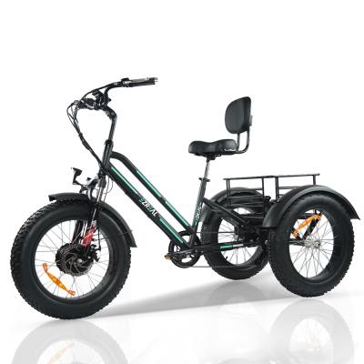 China Cargo EZREAL USA STORE bafang current hot sale electric tricycle 750w electric tricycle with 18.2Ah battery door to door service for sale