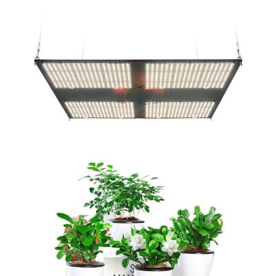 China Seed Starting Indoor Hydroponic Growing Systems 480w Full Spectrum Lm301b Led To Grow Light For Plants for sale