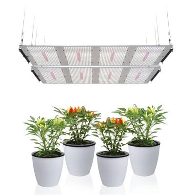 China Seed Starting 2022 High Quality Commercial Lm301b Samsung 600w Led Grow Lightfor Indoor Garden for sale