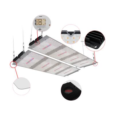 China Seed Starting Chengze 2022 Lm301b 600w 660nm 3000k 3500k Full Spectrum Led Grow Light Board For Indoor Plant for sale