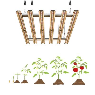 China Seed Starting Chengze Highest Efficiency Lm301b Strips Led Grow Light For Plants With IR Switch Series Full Spectrum Led For Growing Light for sale