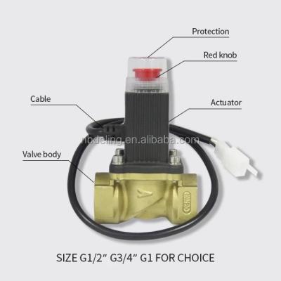 China Emergency Alert Gas Emergency Shut Off Solenoid Valves DN15 Match With Home Gas Detectors for sale