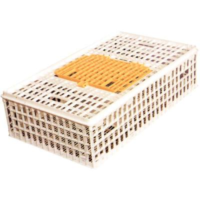 China Chicken cage for chicken transport manufacturer Sustainable, Stocked hot sale for sale