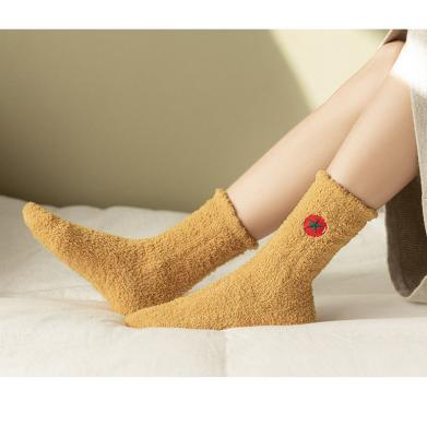 China Antibacterial Cute Coral Velvet Dog Embroidery Winter Lady's Sleep Socks Candy Color Thermal Socks Antibacterial Blurry for sale