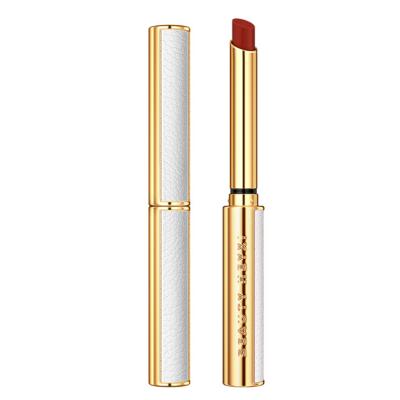 China Waterproof Promotional Makeup Hydration Lipstick Lasting Moisturizing Lipstick Small Slim Tube Matte Waterproof Lipstick for sale