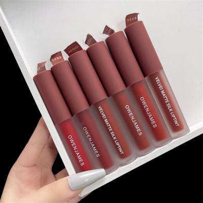 China Waterproof Waterproof Organics Make Your Own Cosmetics Makeup Private Label Vegan Matte Liquid Lipstick for sale