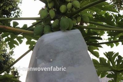 China Tela não tecida da agricultura antienvelhecimento do polipropileno para as tampas agrícolas 1.6M 2.4M 3.2M à venda