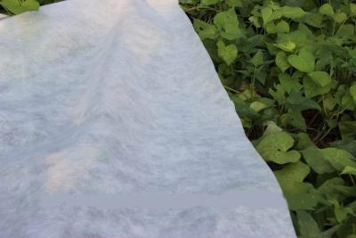 China Eco-friendly Ground Cover PP Agriculture Nonwoven Fabric Soil Moisture Distribution for sale