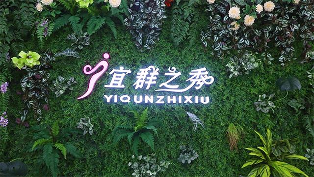 Verified China supplier - Guangdong Yiqun Zhixiu Industrial Co., Ltd.