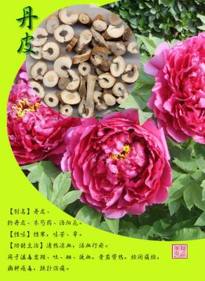 China New Arrival 98% paeoniflorin chinese herbaceous peony extract powder for sale