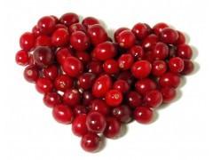 China High Quality Cranberry fruit Extract --Vaccinium Macrocarpon L for sale