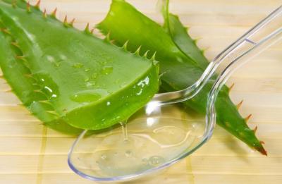 China 100% purely natural 10:1/20:1 Aloe Vera P. E. powder for healthcare ingredient product for sale