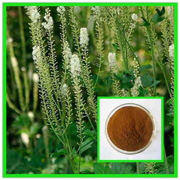 China Natural Black Cohosh Plant Extract/Black Cohosh Root Extract/Black Cohosh Powder-10：1 for sale