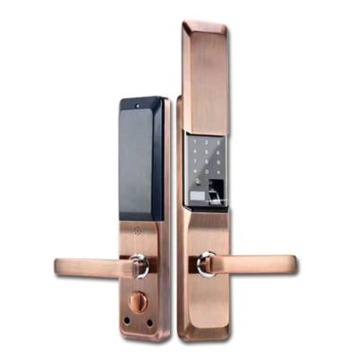 China Door Lock Manufacturer Double Sided Outdoor Fingerprint Door Lock Stainless Steel Smart Door Lock for sale