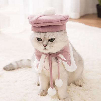 China 2021 Pet Supplies Stored Empty Spider Clotheses Pet Clothes Matching Dog and Owner Clothes Hoodies for sale