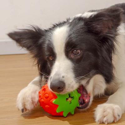 China Dogs Fruit Interactive Rubber Permeable Toy Ball Puzzle Rubber Permeable Toy Dog Toy Teeth Cleaning Dog Chew Toy Shaped Pet Grinding Grinding Supplies for sale