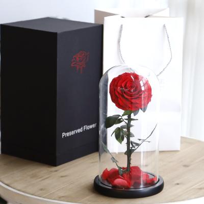 China Christmas Valentines Wedding Gift Romantic Eternal Preserved Roses Every Love Valentine's Day Gift Wholesale Decoration in Glass Dome Which Last Year of A for sale