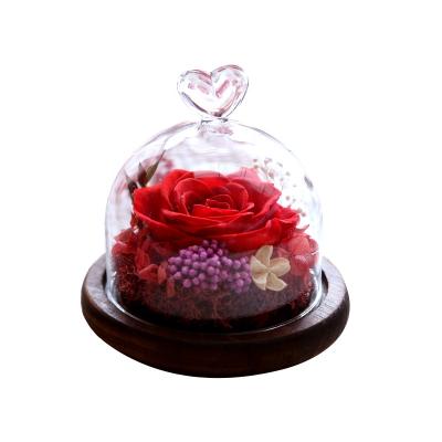 China Natural Touch Every Love Plant Wholesale Preserved Flower Gift Set Forever Eternal Rose In Glass Dome For valentines day for sale