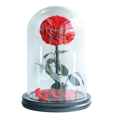 China Handmade Every Love Eternal Preserved Rose Durable Stabilized in Glass Dome for Valentines Day Gifts for sale