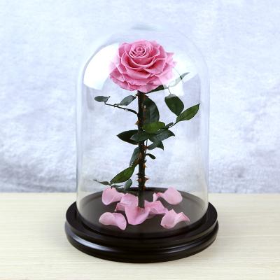 China Forever Lasting Every True Love Gift Items 20*30cm Touch Rose Preserved Rose In Glass Dome for sale