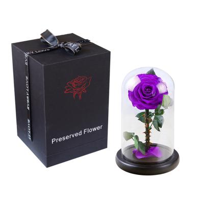 China Real Rose Every Preserved Love Purple Rose Competitive Price Preserved Single Rose In Glass Dome for sale