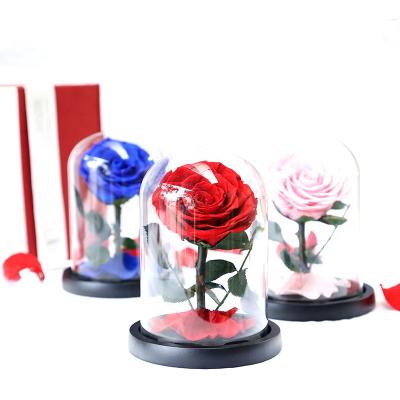 China 2021 Top Selling Preserved Rose Dome Celebration 6-7cm Preserved Flower Gift Box For Mother's Day for sale