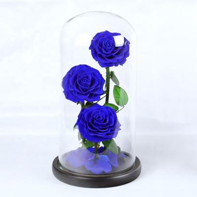 China Real Rose Long Lasting Preserved Romantic 3 Year Gifts Grade A Crafts Valentine Gifts Preserved Infinity Roses Flowers In Glass Dome for sale