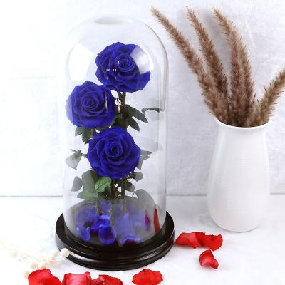 China Real Rose Every Love Best Gift Preserved Romantic For Mother's Day Natural Eternal Lasting Flower With Long Stem Galaxy Preserved Rose In Glass Dome for sale