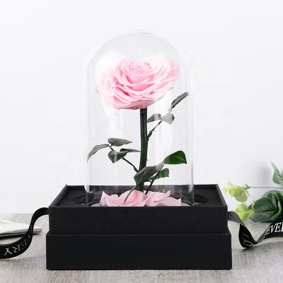 China Wholesale Eternal Luxury Glass Preserved Rose Romantic Ecuador Real Preserved Flowers Rose For Home Interior Decoration for sale