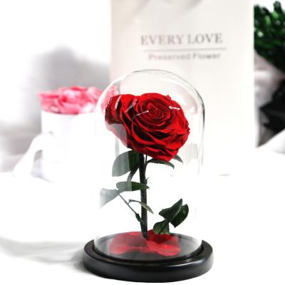 China Home decor/gift factory supply natural preserved roses in glass dome heart shape rose glass dome for home decoration for sale