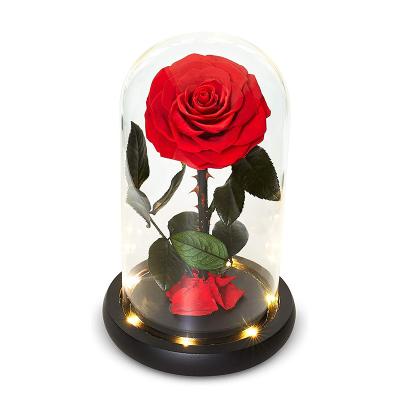 China True Rose Every Love Wholesale Price Real Roses Preserved Single Preserved Rose Flower in Glass Tube with LED Light for Mom Birthday Gifts for sale