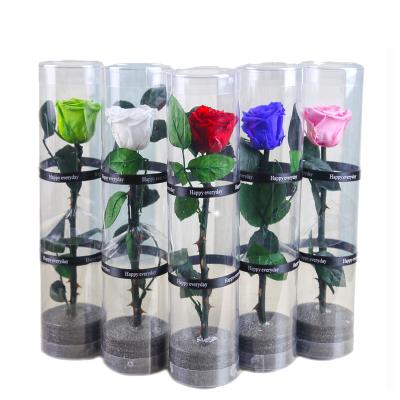 China Wholesale simple real natural touch stabilized preserved long stem roses in round PVC box for valentine's gift for sale