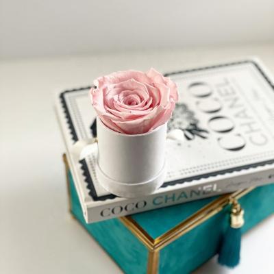 China Real Rose Natural Touch Every Love Competitive Price Preserved Single Rose in Luxury Round Box for Proposal for sale