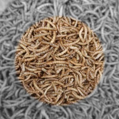 China Viable Top Selling Dry Bird Food Pet Supplies Bird Snacks OEM Mealworms Treats for sale