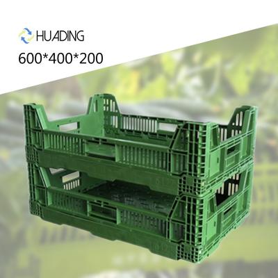 China Mesh Design Foldable PP Basket for Recyclable and 100% Recyclable Eco-Friendly Crate for sale