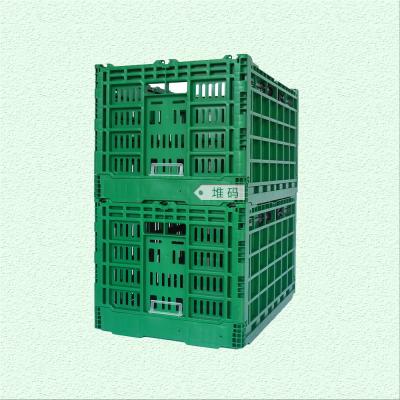 China Green or Customized Collapsible Plastic Mesh Box for Vegetable and Fruit Distribution for sale