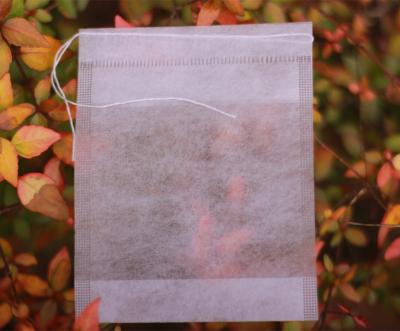 China Nonwoven Food Pla Tea Bag Filter With Strings Easy To Use for sale