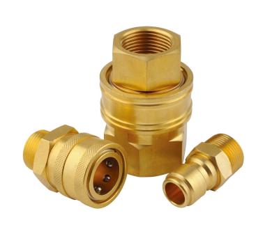 China TSP Series Coolant NITTO Mold Cleaner Carpet Washer Vapor Widely Usely Hydraulic Quick Release Coupling for sale