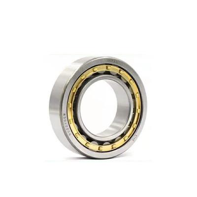 China Other Various Promotional Automobile Bearing Custom Bearing Housing Cylindrical Roller Bearing for sale