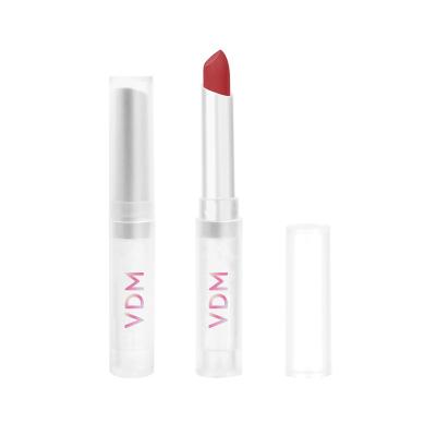 China Private Label Waterproof Velvet Liquid Matte Lipstick Non-Fasting Non-Erasing Moisturize for sale