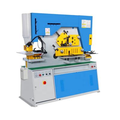 China Metal Sheet Punching Iron Worker Hydraulic Punch Shear Machine With Customized Molds for sale