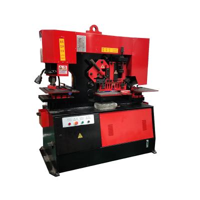 China Metal Sheet Punching Hydraulic Metal Iron Workers Metal Punching And Shearing Machine Q35Y-20 for sale