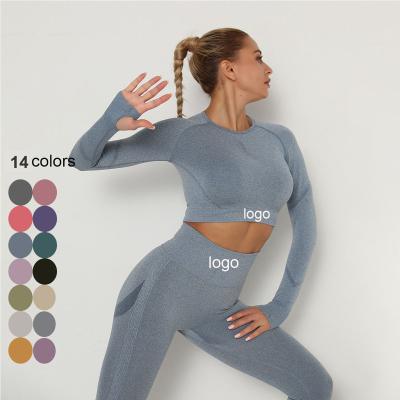 China 14 Colors Workout Activewear Breathable Seamless Yoga Sleeves Long Apparel Fitness Gym Yoga Wear Top for sale