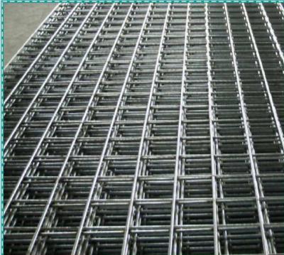 China Other Hot Dipped Galvanized Welded Wire Mesh Panel for sale