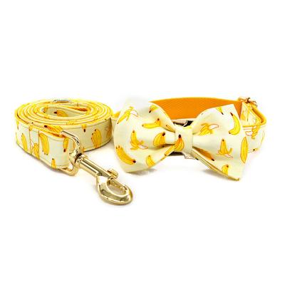 China New Gold Padded Nameplate Buckle Printed Fabric Dog Collar Nylon Coating Waterproof Webbing And Leash for sale