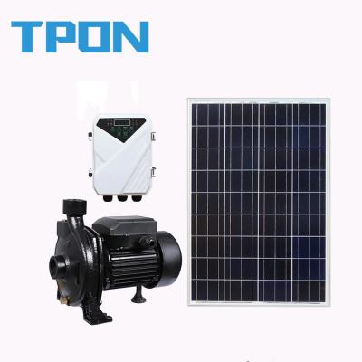 China Solar Outdoor Irrigation Pump For Irrigation Surface Water Pump for sale